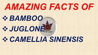 Amazing Facts of Bamboo Juglone and Camellia Sinensis  Science Facts  Lock amp Key [upl. by Cullan]