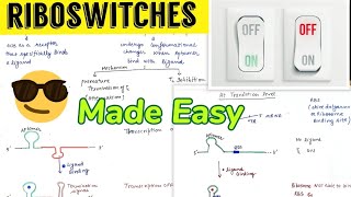 Riboswitches  Notes 😎Made easy 🤩 [upl. by Learrsi]