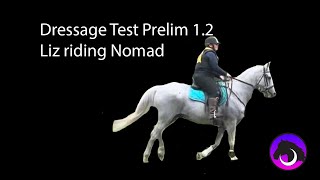 Dressage Test Prelim 12 [upl. by Yellah]