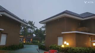 Bohols typhoon  보홀의 태풍 philippines bohol asmr garden typhoon 🌪☔️ [upl. by Anahsor]