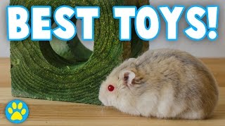 3 Toys Every Hamster NEEDS [upl. by Martelli]