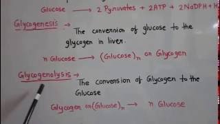 Metabolism of carbohydrate part 1 [upl. by Teyugn182]