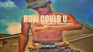 Speaker Knockerz  How Could U [upl. by Ahsikrats]