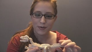 ASMR Paleontologist Role Play [upl. by Einahpit]