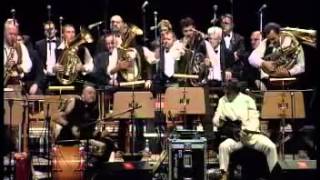 Goran Bregovic  Mesecina  LIVE [upl. by Aleik561]