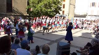 FETE DE MENDE 2017  Corso fleuri 13 [upl. by Ennaer449]