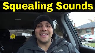 Why Do Cars Make Squealing Sounds5 Common Reasons [upl. by Namzzaj693]