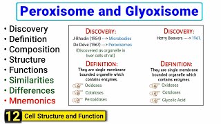 Peroxisomes and Glyoxisomes  Similarities and Differences  Structure and Function [upl. by Asus411]