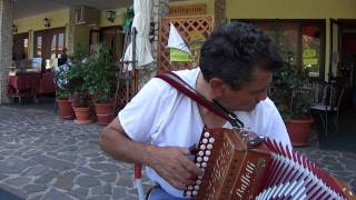 Tarantella Calabrese Antonio Serra al Pettoruto 2011 [upl. by Inalem]