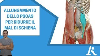 Allungamento dello psoas un esercizio efficace contro il mal di schiena [upl. by Koal]