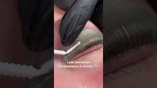 Watch Lash Lamination Transformations at Lash Boutique 🌊✨ capecodlife plymouthrock lashes [upl. by Zarla167]