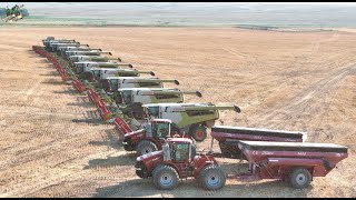 Colorado Wheat Harvest 2024 with 12 Claas Lexion Combines [upl. by Astri]