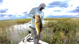 Lake Okeechobee highlight reel 80 FISH DAY 30lb BAG [upl. by Ahsikahs]