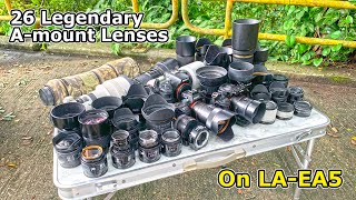 Sony LAEA5 with 26 Legendary Amount lenses on a7RIV [upl. by Secilu]