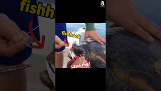 Rescue a turtle removing fishhook from turtle’s tongue turtle turtlerescue shorts [upl. by Inalaehon355]