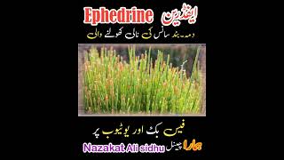 Ephedrine ephedra medicine treatment therapy [upl. by Ateloiv]