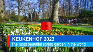 Keukenhof 2023 [upl. by Crissie]