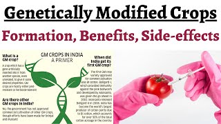 What are Genetically Modified Crops amp how are they made Comparison with Conventional Breeding tech [upl. by Yetak]