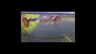 Michaels Fish Room Unboxing of New Fish [upl. by Anavoig623]