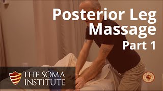 General Posterior Leg Protocol Beginning Massage Techniques Part 1 [upl. by Sewellyn660]