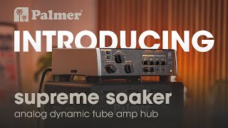 Introducing the Palmer SUPREME SOAKER  Analog Dynamic Tube Amp Hub [upl. by Cecily]