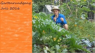 Gartenrundgang Juli 2016  VLOG  Tagebuch eines Gärtners  Urban Gardening [upl. by Candy441]