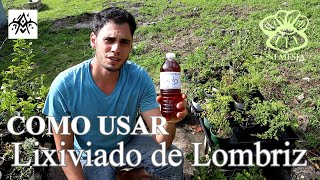 Lixiviado de lombriz Silagro Como se aplica [upl. by Othilia]