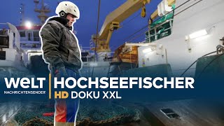 Deutsche Hochseefischer  Harte Arbeit auf rauer See  WELT HD Doku XXL [upl. by Kisung249]