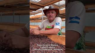 Procesar Cascara de Café Coffee Cherry Process [upl. by Wehner483]