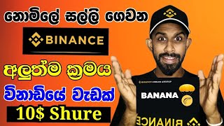 Binance New Airdrop Banana 🍌  Binance Hodlers Airdrop  Binance E money Sinhala [upl. by Alvira311]