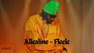 Alkaline  Fleek  DOOVS  Remix 2023 [upl. by Crenshaw537]