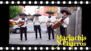 MARIACHIS A DOMICILIO  MARIACHIS Y CHARROS CALICANTO  CUMPLEAÑOS FELIZ [upl. by Dirk687]