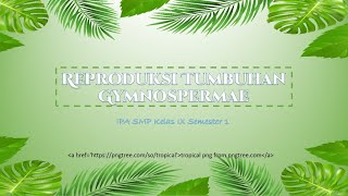 Reproduksi Tumbuhan Gymnospermae  IPA SMP Kelas IX Semester 1 [upl. by Warfore]