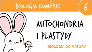 Cytologia 6  Mitochondria chloroplasty i inne plastydy  biologia do matury liceum [upl. by Emil]