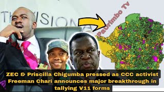 CCC Forms shows ZEC announced wrong results in favour of ED Mnangagwa  FREEMAN CHARI CCC Scientist [upl. by Alfreda760]