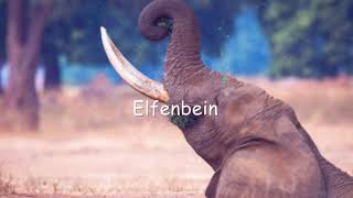 COUPER DECALER INSTRUMENTAL  ELFENBEIN [upl. by Adnalahs313]