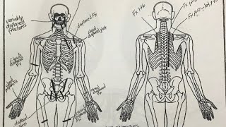 Gianna Bryant Autopsy Report [upl. by Huntlee]