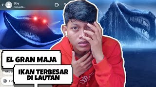 ASAL USUL IKAN MONSTER EL GRAN MAJA YANG MENGERIKAN DI KEDALAMAN LAUT ⁉️⁉️😱 [upl. by Hilel]