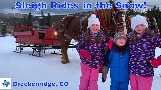 Sleigh rides in the snow [upl. by Bigford]