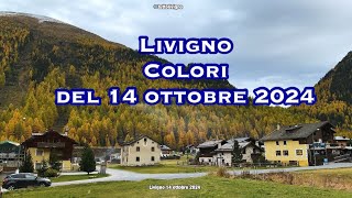 Livigno i colori del 14 ottobre 2024 [upl. by Turro523]