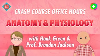 Crash Course Office Hours Anatomy amp Physiology [upl. by Genvieve]