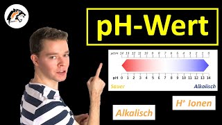 pHWERT Säuren amp Basen  Chemie Tutorial [upl. by Perry794]