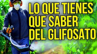 GLIFOSATOUSO  APLICACION DOSIS RECOMENDACIONES [upl. by Akiram670]