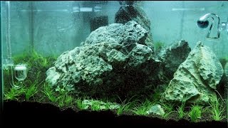 Nano Iwagumi Aquascape quotThe Big Onequot ADA Mini M  Step by Step [upl. by Ennaj595]