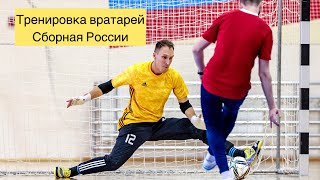 Тренировка вратарей сборной России по футзалу минифутболу  futsal goalkeeper training [upl. by Atnicaj]