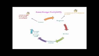 illumina golden gate assay for maize SNP genotyping [upl. by Rooney]