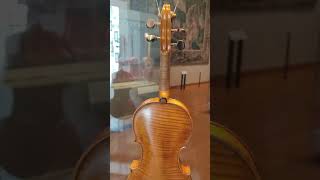 Violin Jacob Stainer Absam 1672 on display at the Ashmolean Museum in Oxford shorts [upl. by Zonnya494]