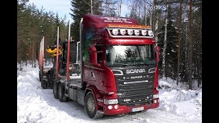 Scania R580 V8 6X4 Timber Truck Loading amp Gets Unloaded [upl. by Noella]