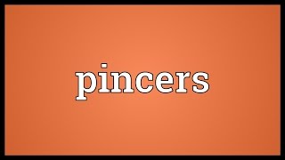 Pincers Meaning [upl. by Thera]