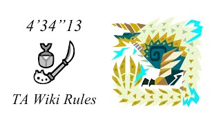 MHW IB M6★ Special Arena  Zinogre  Insect Glaive  434quot13 TA Rules [upl. by Erna]